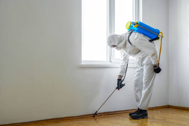 Best Emergency Pest Control  in Edgewood, IN